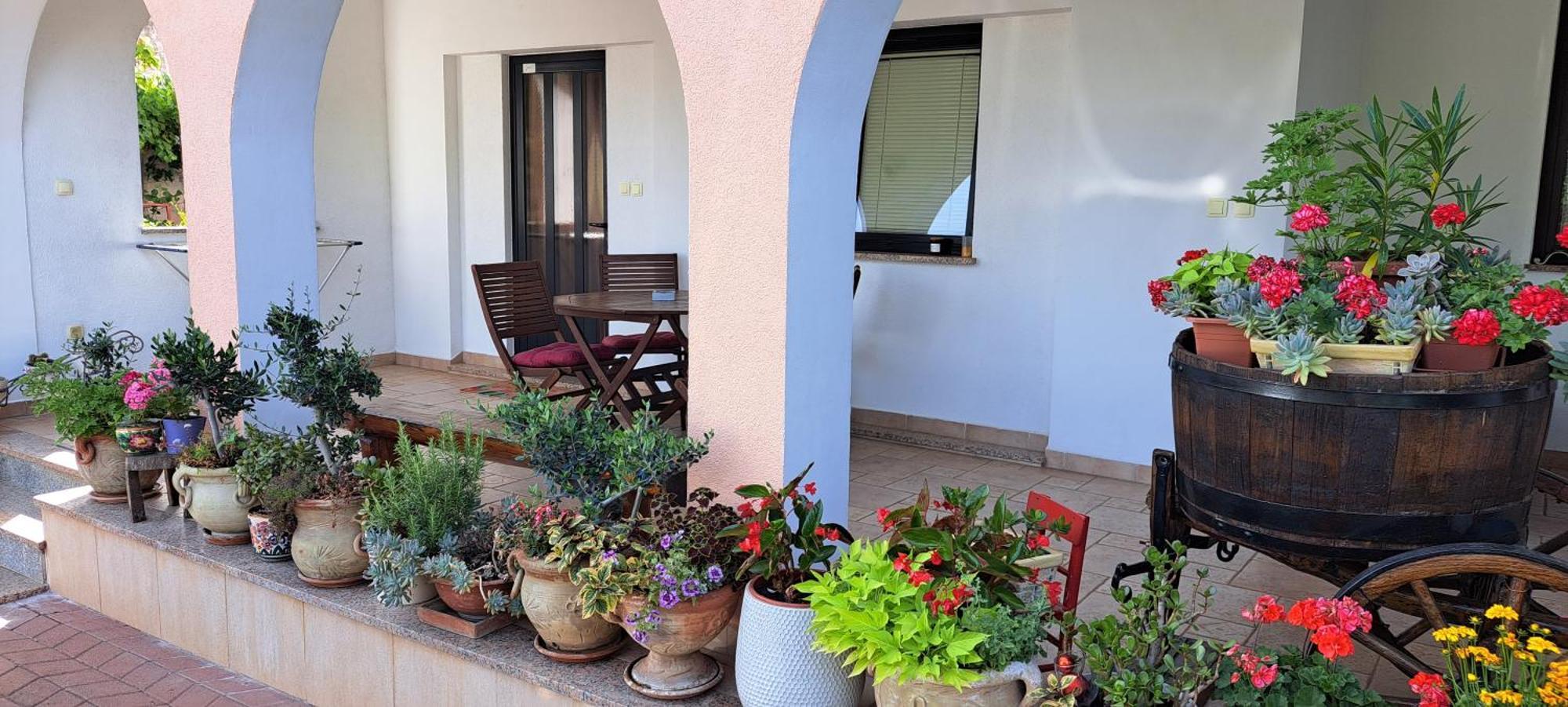 Apartmani Bubnic Умаг Экстерьер фото